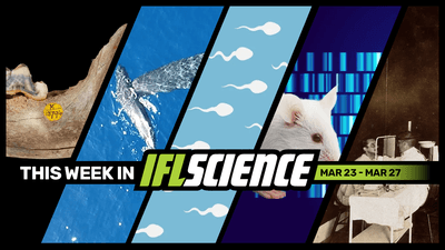 All the biggest science news stories of the week.