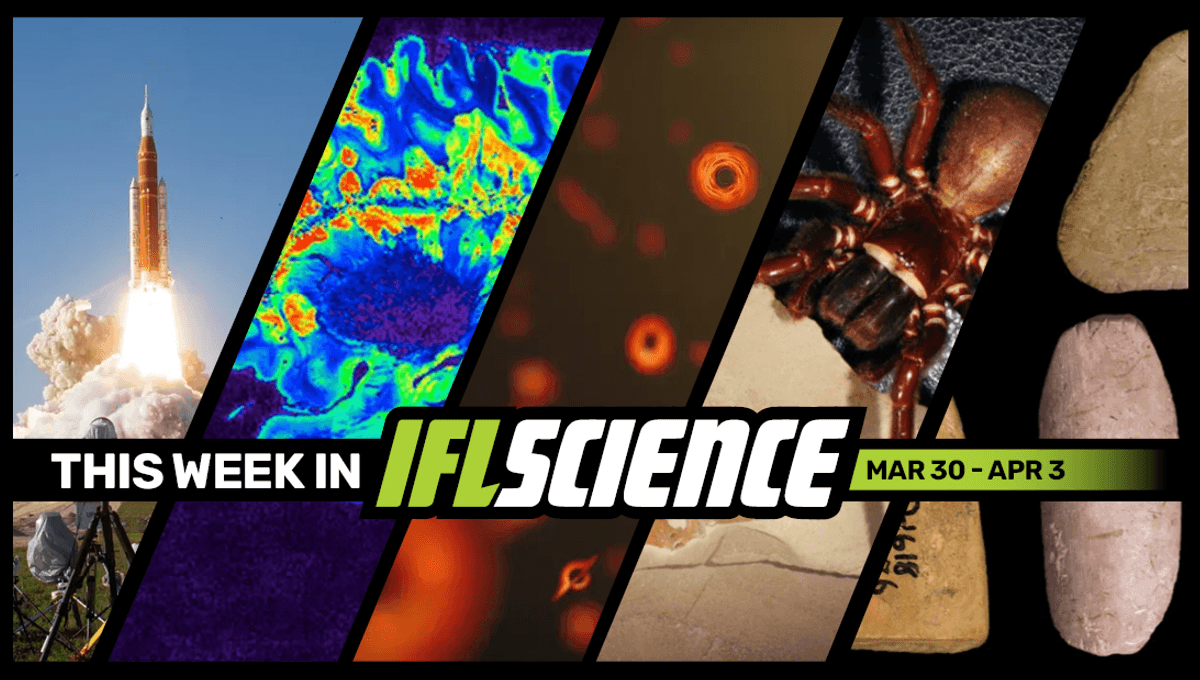Artemis II Successfully Blasts Off, 500-Million-Year-Old Sea Predator Is Oldest Known Animal Of Its Kind, And Much More This Week