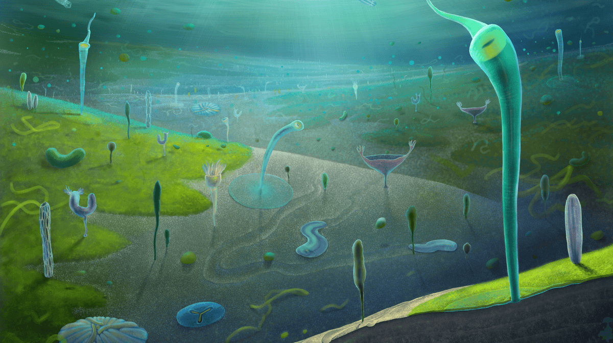 "A Rare Example of Exceptional Fossil Preservation": Major Animal Groups Were Living On The Seafloor Millions Of Years Before The Cambrian Explosion