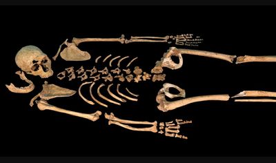 La Ferrassie 1 Neanderthal skeleton
