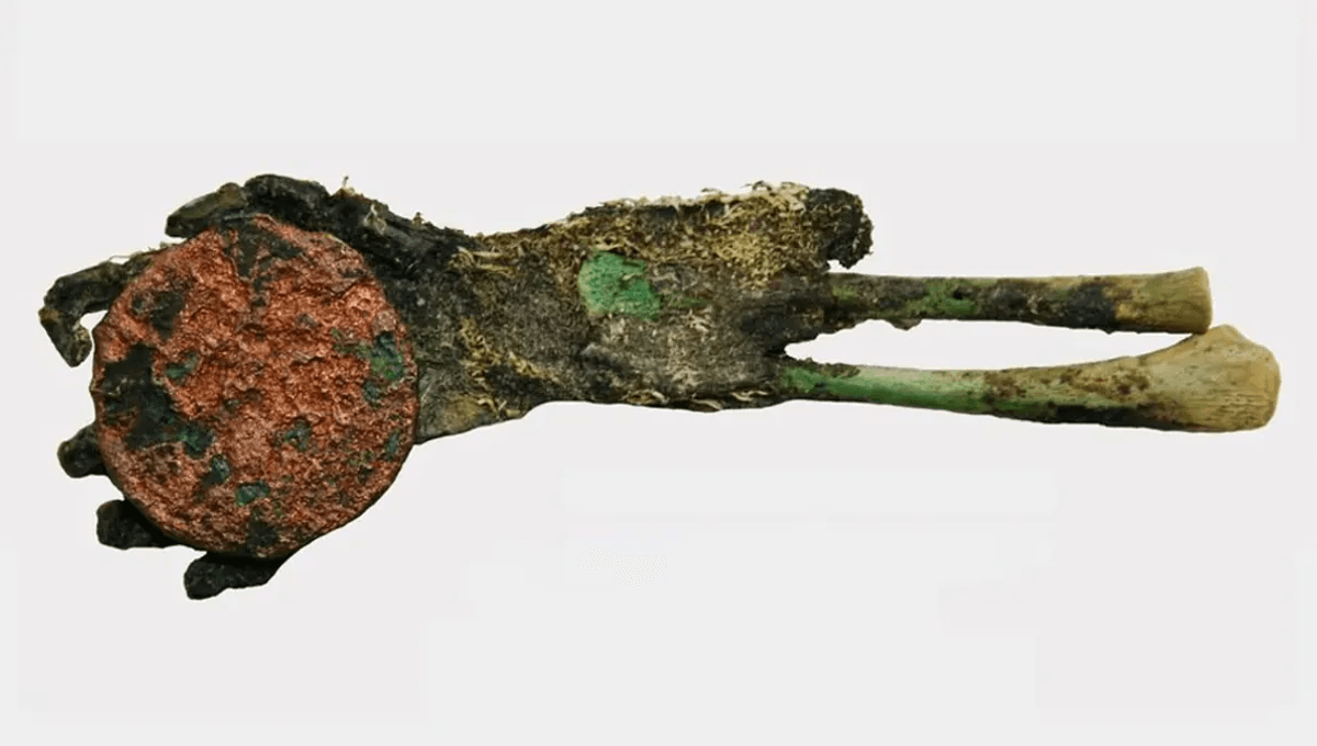 A Mummified Green Hand Clutching A Copper Coin Was Found In An Abandoned Cemetery, Which Hadn't Been Used In 150 Years