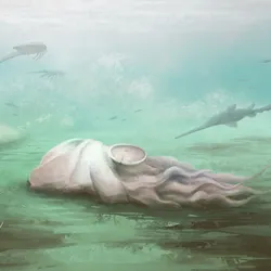 Palaeoart recreation of Pohlsepia mazonensis, dead on the ocean floor.