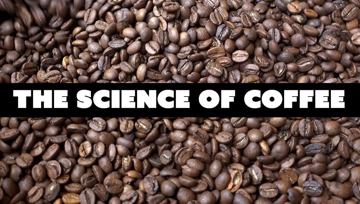 The Science of Coffee: What It REALLY Does to Your Body | Video ...
