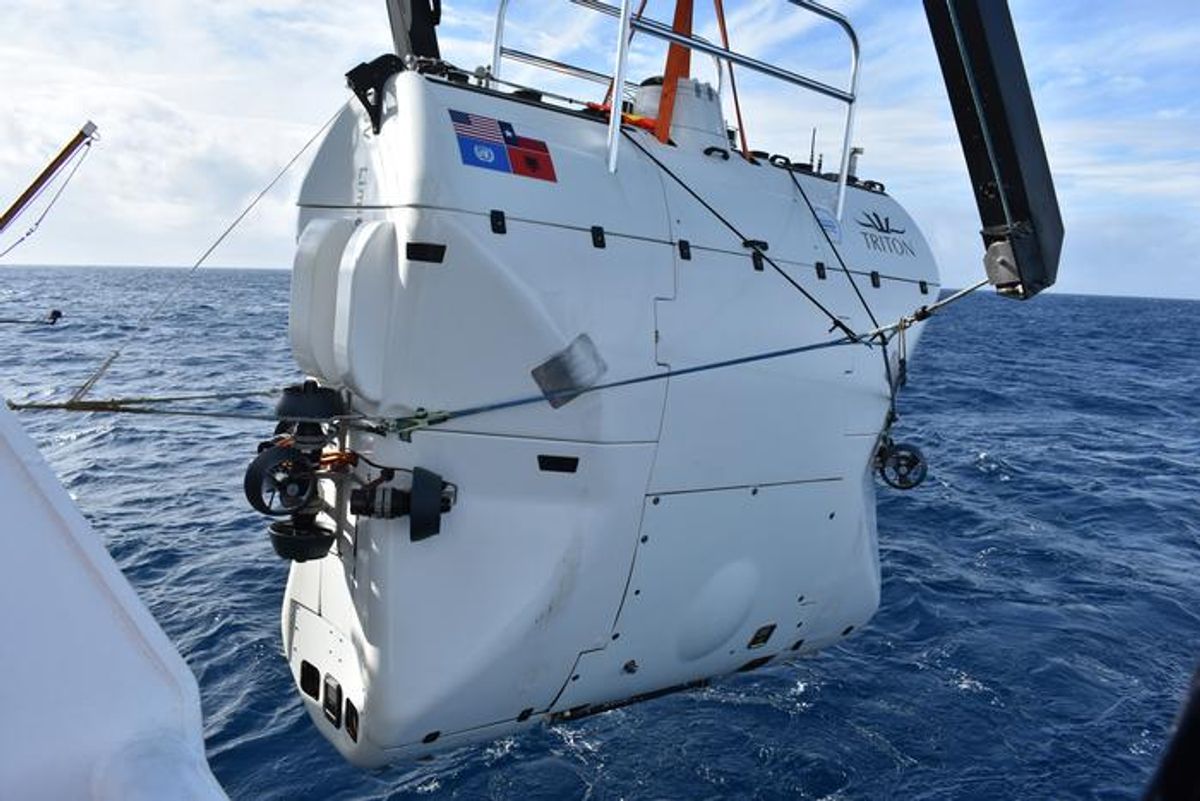 Record-Breaking Abyssal Fish And A Mystery Species Discovered In Crewed Expedition To Japan’s Deepest Ocean Trenches