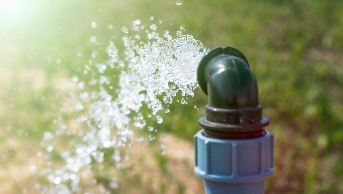 Water Rekated Two Huge New Studies Contradict US Health Secretary RFK Jr On ...