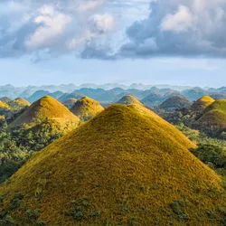 drone view of Chocolate Hills, a series of conical features, on Bohol Island. They are covered in yellow-green vegetation.
