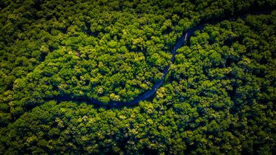 A modern road in the Amazon