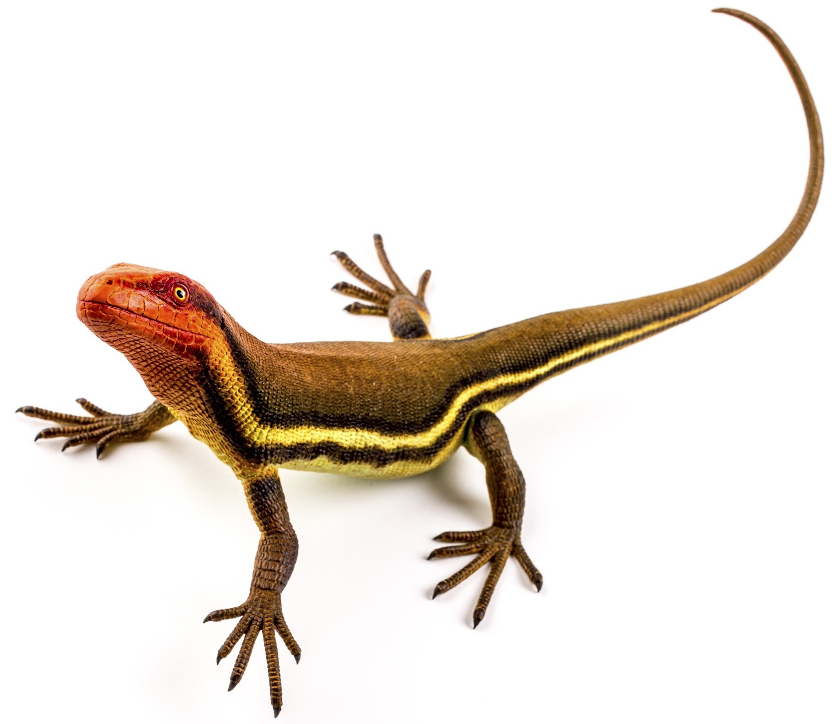 artist's impression of Hylonomus lyelli, a small lizard-like creature with a reddish head, brown back and legs, and light yellow and brown stripes along its side