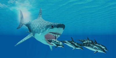 a 3d rendering of a Megalodon, a giant extinct prehistoric shark