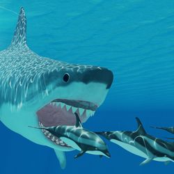a 3d rendering of a Megalodon, a giant extinct prehistoric shark 