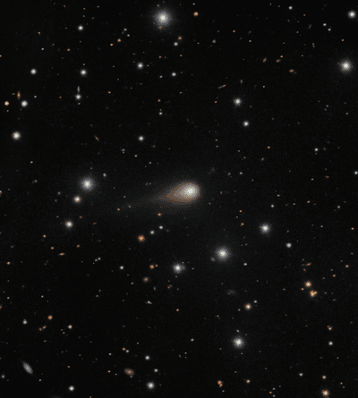 The photo shows the comet and its tail in front of many background stars
