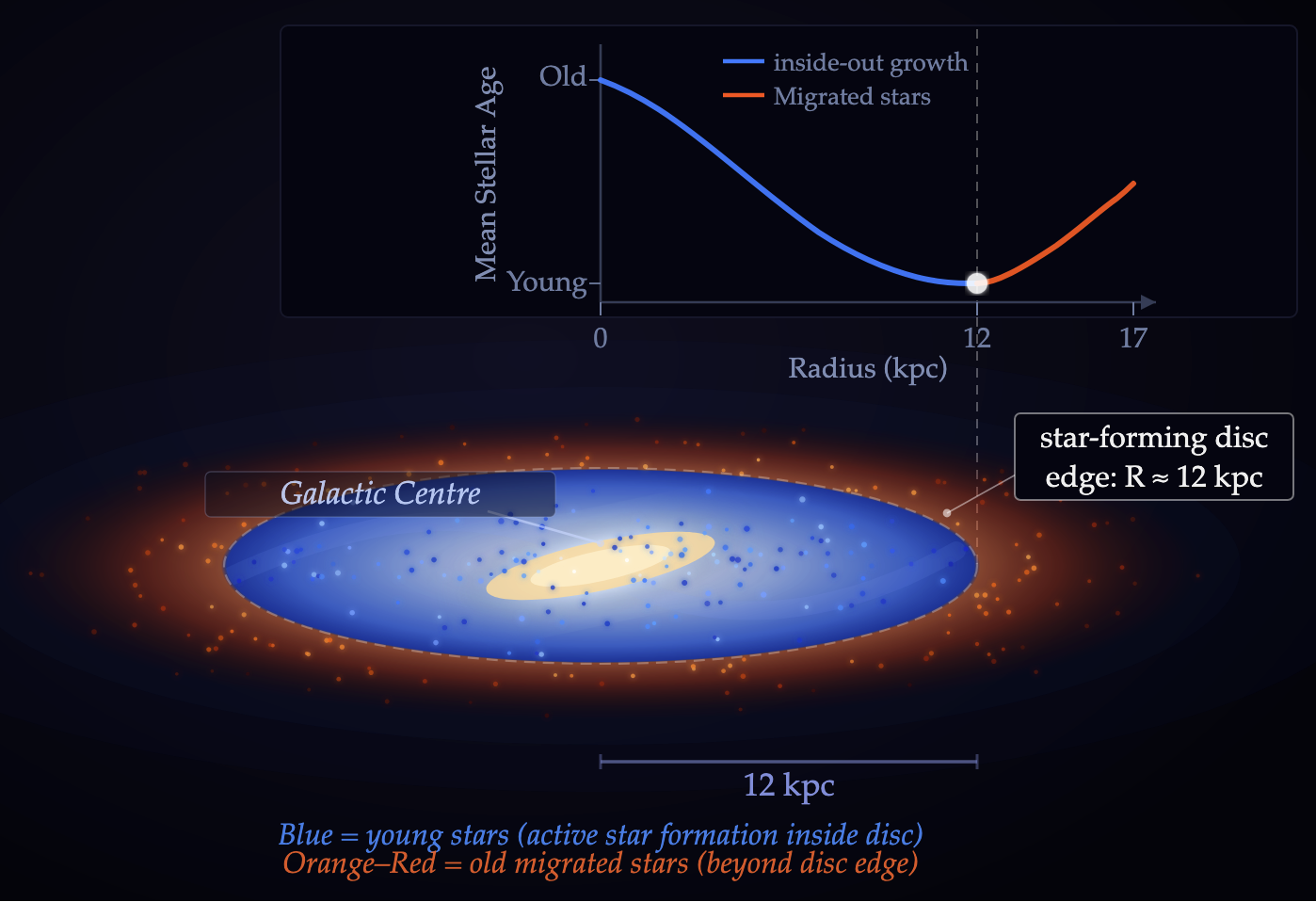 The age of stars in the disk falls as you go out until the point where star formation stopped, and all more distant stars had to migrate there