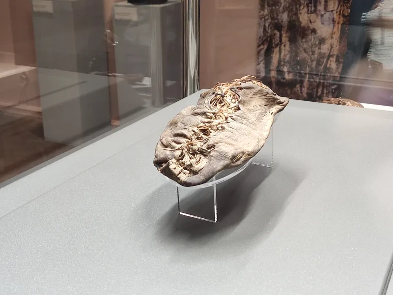 A picture of the Areni 1 shoe on display.