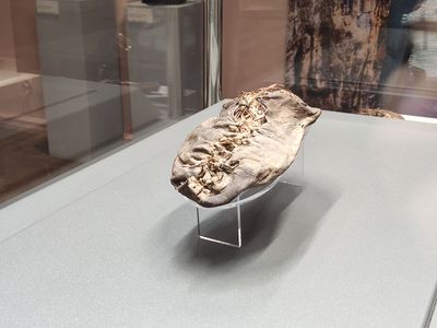 A picture of the Areni 1 shoe on display.