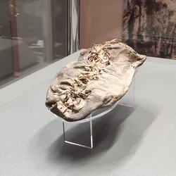 A picture of the Areni 1 shoe on display.