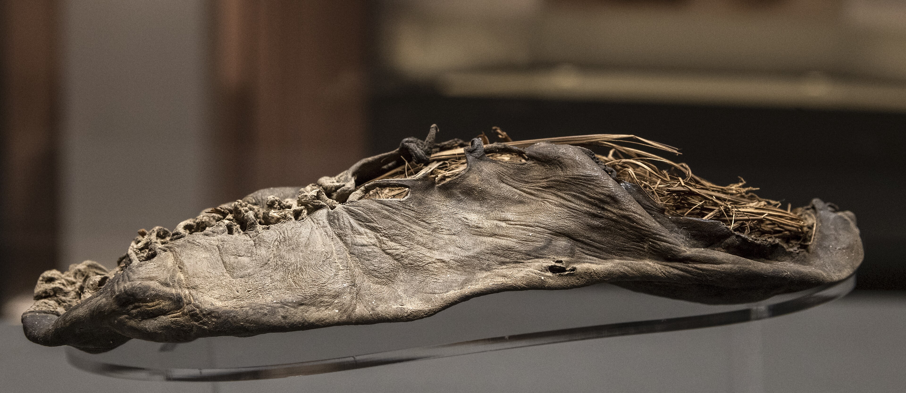 A side view of the Areni 1 shoe on display. A side view of the Areni 1 shoe on display.