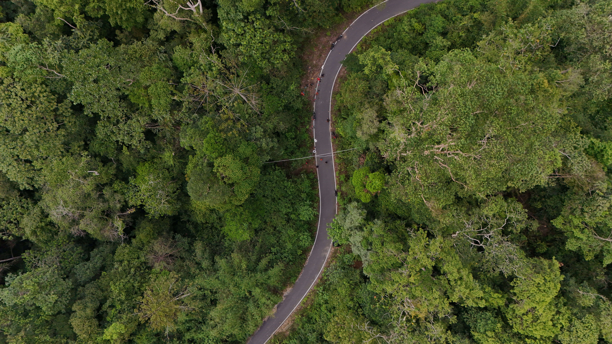 An aerial view of the Lagan-Pagindar road showing a rope bridge and the team that installed it.