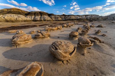 The Bisti Badlands of New Mexico showing strange roundish natural hoodoos that looks like a bunch of large egss on the dusty ground.