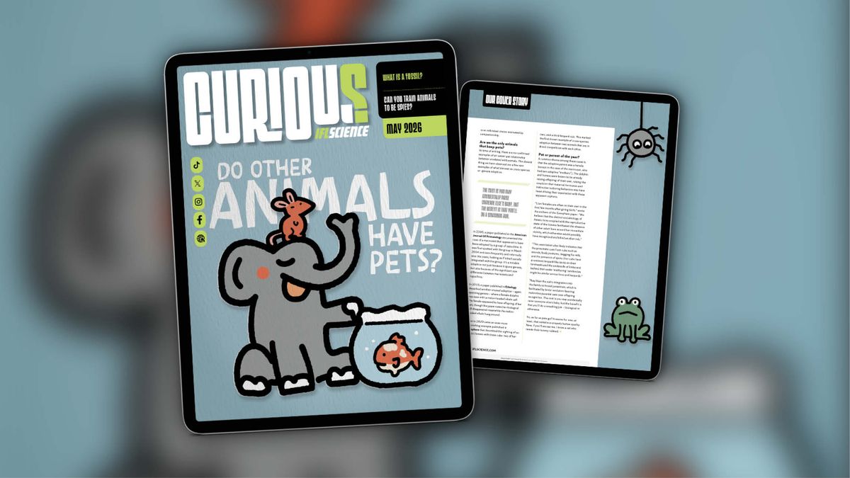 Do Other Animals Have Pets? Find Out More In Issue 46 Of CURIOUS – Out Now