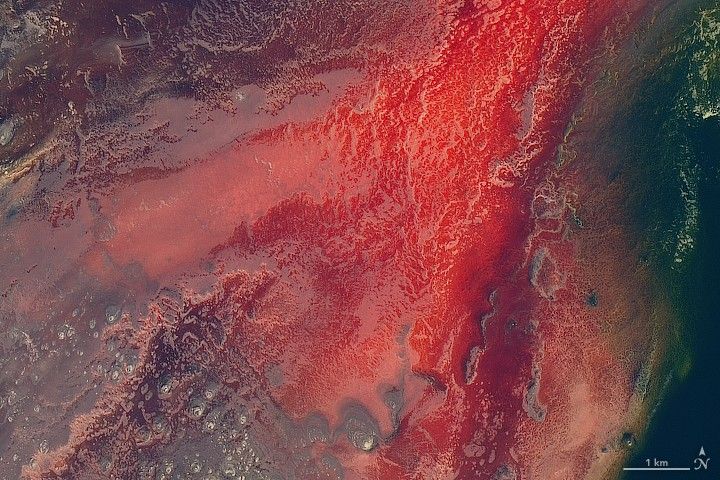 An aerial shot showing the bright red water of Lake Natron. An aerial shot showing the bright red water of Lake Natron.