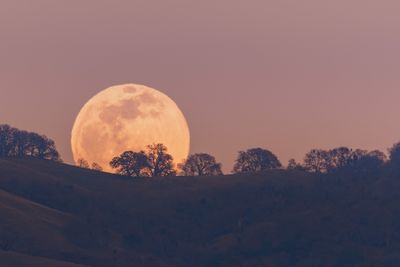 The moon looking particularly large (and pretty) as it sits on the horizon.