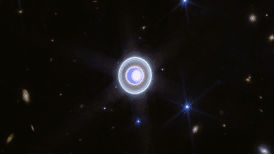 uranus and its rings are seen shining in this view from jwst