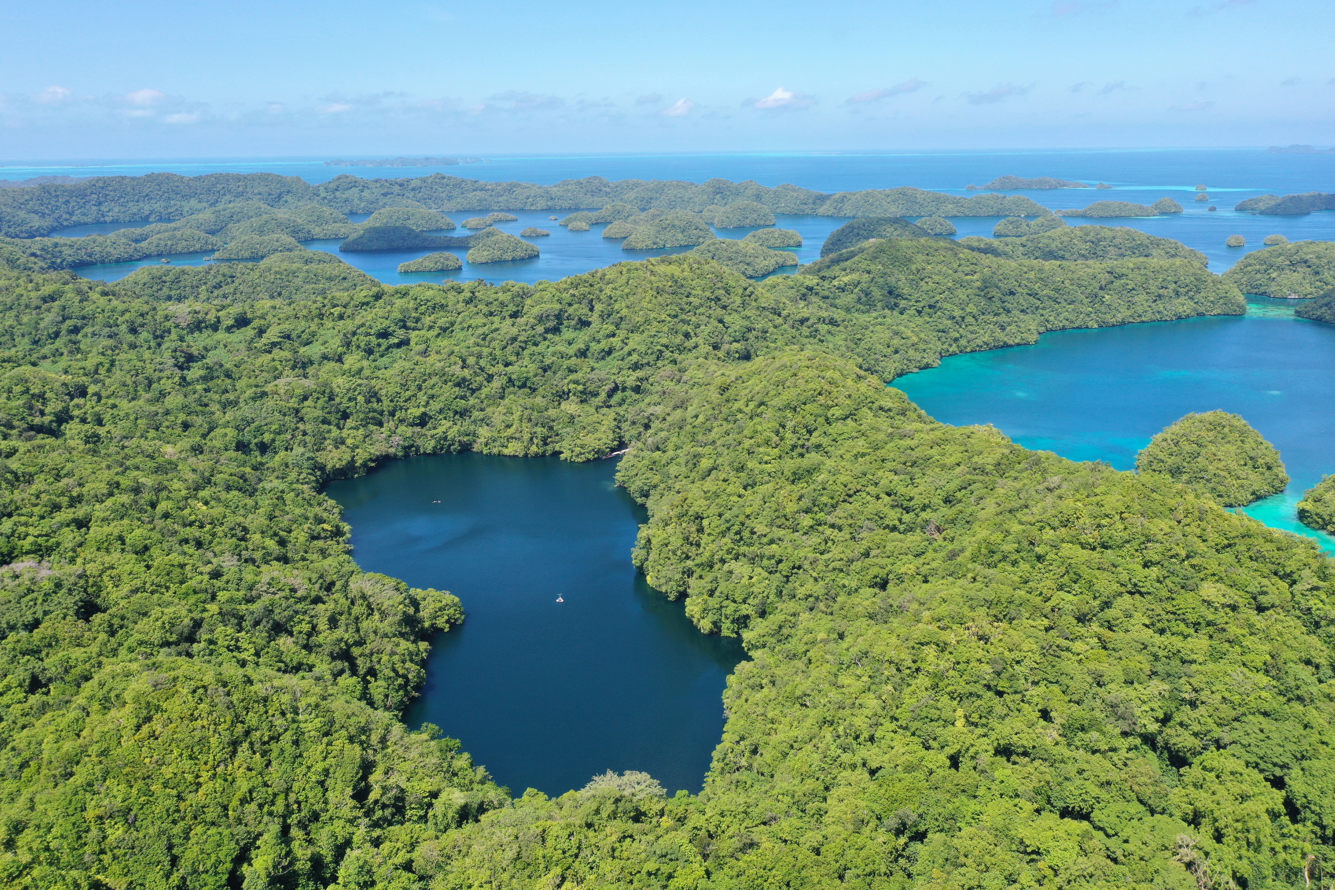 aerial view of jellyfish lake in palau aerial view of jellyfish lake in palau