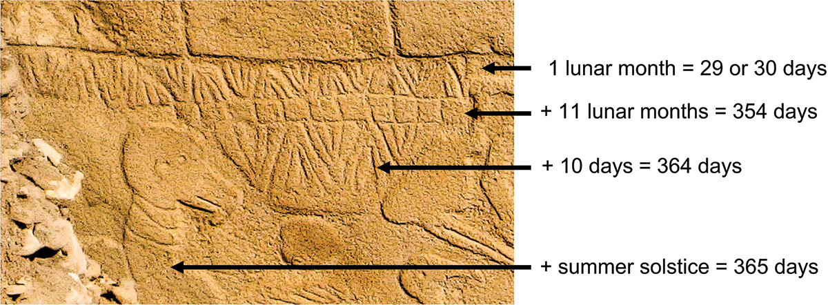 an image of Pillar 43 at Göbekli Tepe, showing a potential calendar of 29-30 "days" as lines in interlocking V formations, 11 "months" as blocks underneath, 10 extra "days" as more interlocking Vs, and one further V "day" adorning the neck of a bird to symbolize the summer solstice. Combined this adds up to 365 days, making a year. an image of Pillar 43 at Göbekli Tepe, showing a potential calendar of 29-30 "days" as lines in interlocking V formations, 11 "months" as blocks underneath, 10 extra "days" as more interlocking Vs, and one further V "day" adorning the neck of a bird to symbolize the summer solstice. Combined this adds up to 365 days, making a year.