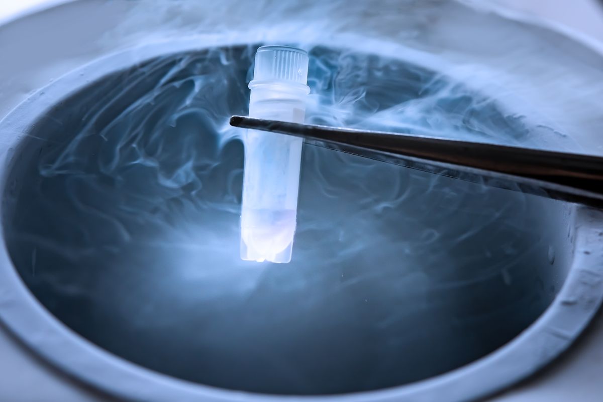 First-Ever Transplant Of Testicular Tissue Frozen For Nearly 20 Years Found To Produce Sperm