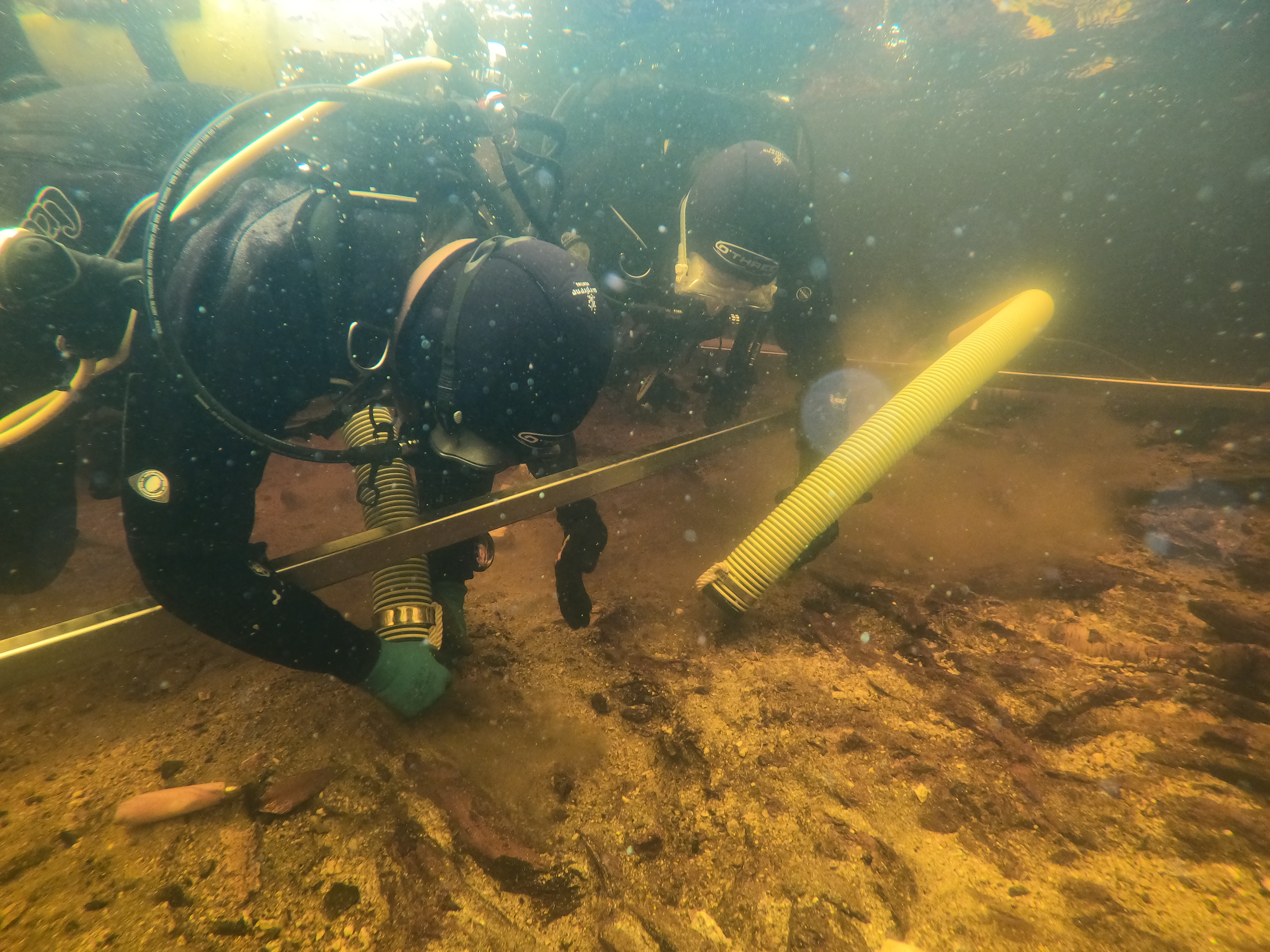 An underwater photo showing two divers in shallow, brownish water. They are examining the sediment and each has a large yellow pipe with them. There is a yellow bend in front of them, indicating a boundary for their assessment. 