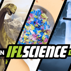 The Lighter Side of Science | IFLScience