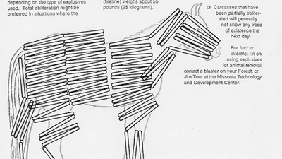 A line drawing of a horse covered in explosives.