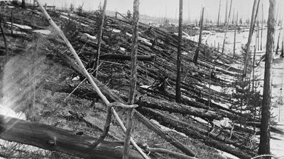  A 1929 photograph of the area near the Podkamennaya Tunguska River, Russia, where a meteor air burst exploded nearly 21 years prior during the Tunguska Event. There are hundreds of fallen trees.