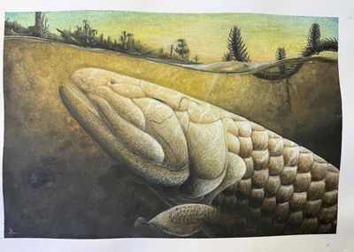 An illustration of the Devonian tetrapodomorph fish Koharalepis jarviki.