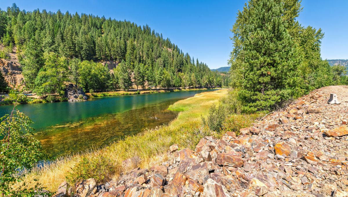 Salt From An Ancient Sea Is The Reason For The Extraordinary Amount Of Silver In Idaho's Rocks