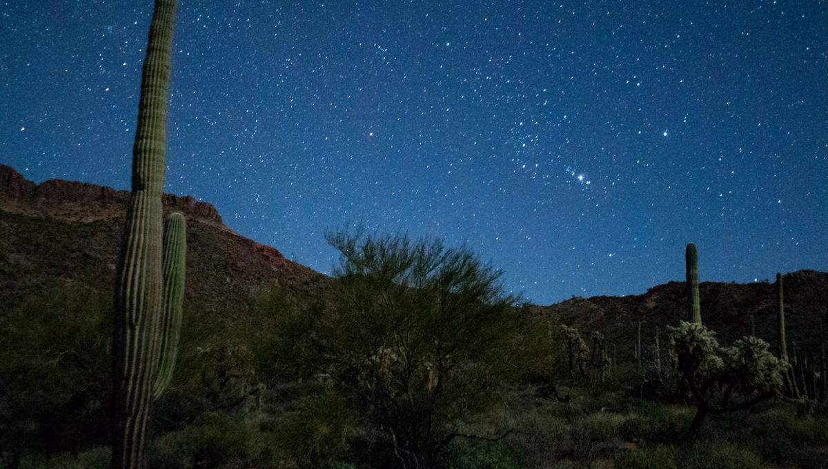 Organ Pipe Cactus National Monument, Home Of Giant Desert Plants And Dazzling Stargazing, Becomes Official Dark Sky Park