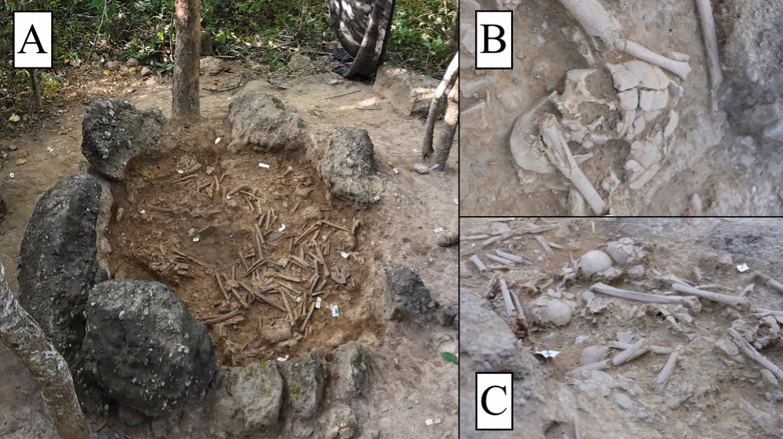 More shots of Site 75 in northern Laos during archaeological excavations.