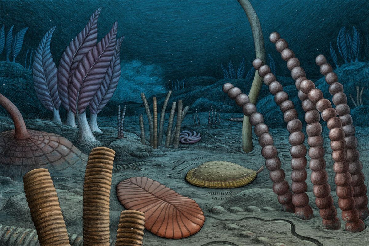 The Origins Of Sex Have Been Pushed Back By 10 Million Years Thanks To A Discovery In North America's Mountains
