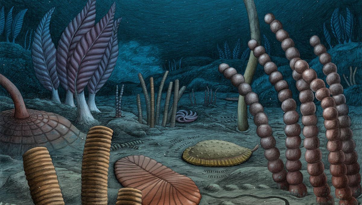 The Origins Of Sex Have Been Pushed Back By 10 Million Years Thanks To A Discovery In North America's Mountains