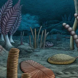 Reconstruction of a hypothetical deep-water group from the new fossil site in Canada’s Northwest Territories, based on fossils recovered by the researchers. 