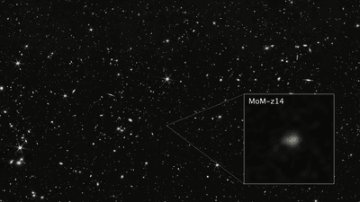 A wide field of view showing deep space, dotted with many small galaxies and a few foreground stars that display six diffraction spikes. One galaxy is highlighted with a magnified image in a graphic pull-out box in the lower right corner. The galaxy is labeled MoM-z14 and appears as a blurry yellow blob with a small red area at its top."
