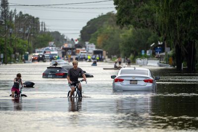 Stuck cars on a flooded city street in Sarasota, Florida.