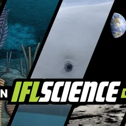 Create an account to get IFLScience's weekly 'this week in science' email delivered straight to your inbox.