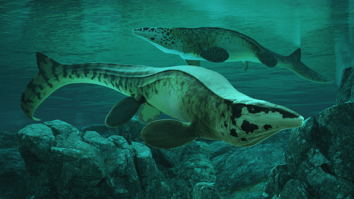 Meet The Mighty Marine T. Rex, A Sea Monster That Was A “Much Meaner Animal Than Other Mosasaurs”