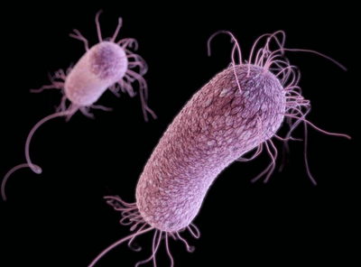 a three-dimensional (3D) computer-generated image of three multidrug-resistant, Pseudomonas aeruginosa bacteria.
