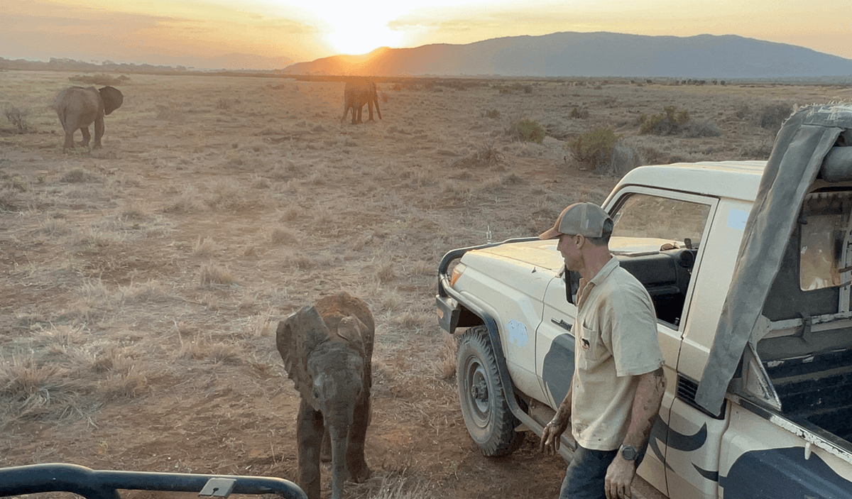 Watch An Adorable 4-Month-Old Baby Elephant Being Reunited With Her Family After Getting Lost In The Wild