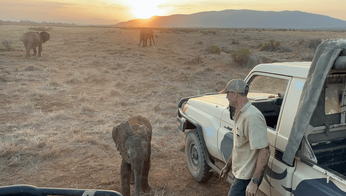 Watch An Adorable 4-Month-Old Baby Elephant Being Reunited With Her Family After Getting Lost In The Wild