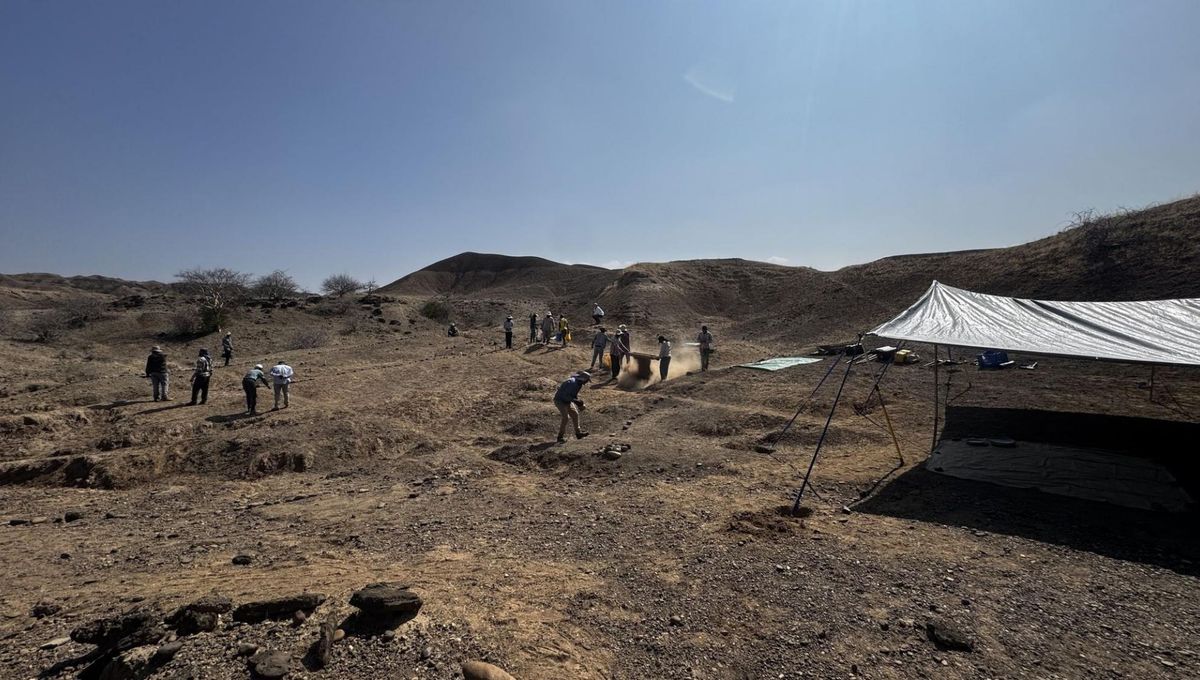 Evidence Shows Humans Were Cremating Their Dead 100,000 Years Ago – Tens Of Thousands Of Years Earlier Than Previously Thought