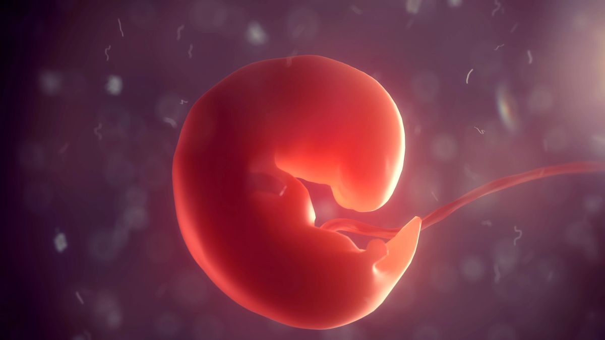 China Is Growing Artificial Human Embryos In Space To Learn More About Reproduction Beyond Earth