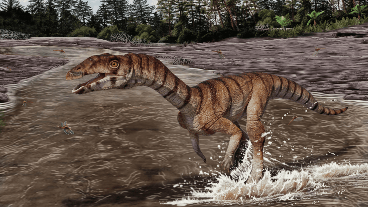 Meet The “Croc Witch,” A 212-Million-Year-Old Toothless Triassic Weirdo That Walked On Two Legs